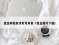 郓城昆虫网站高清照片素材（昆虫图片下载）