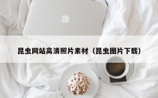 郓城昆虫网站高清照片素材（昆虫图片下载）